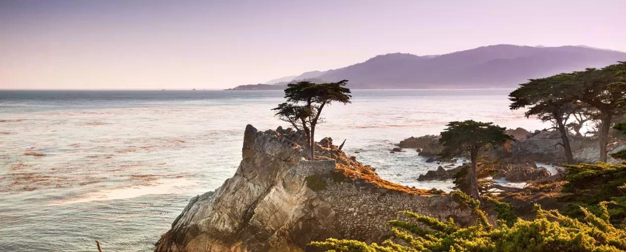 A lone cypress tree is pictured on a peninsula surrounded by Pacific Ocean and coastal foliage.