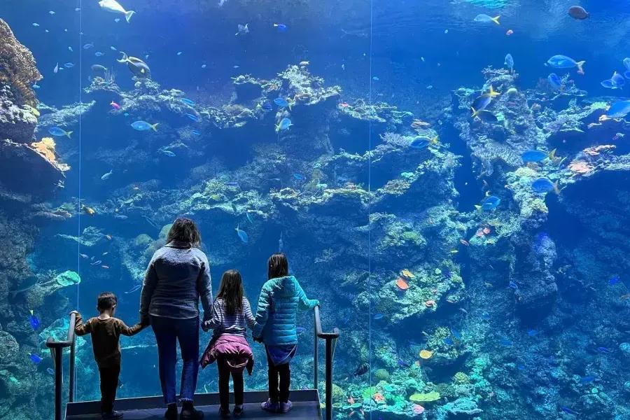 Familie mit Aquarium an der Bucht